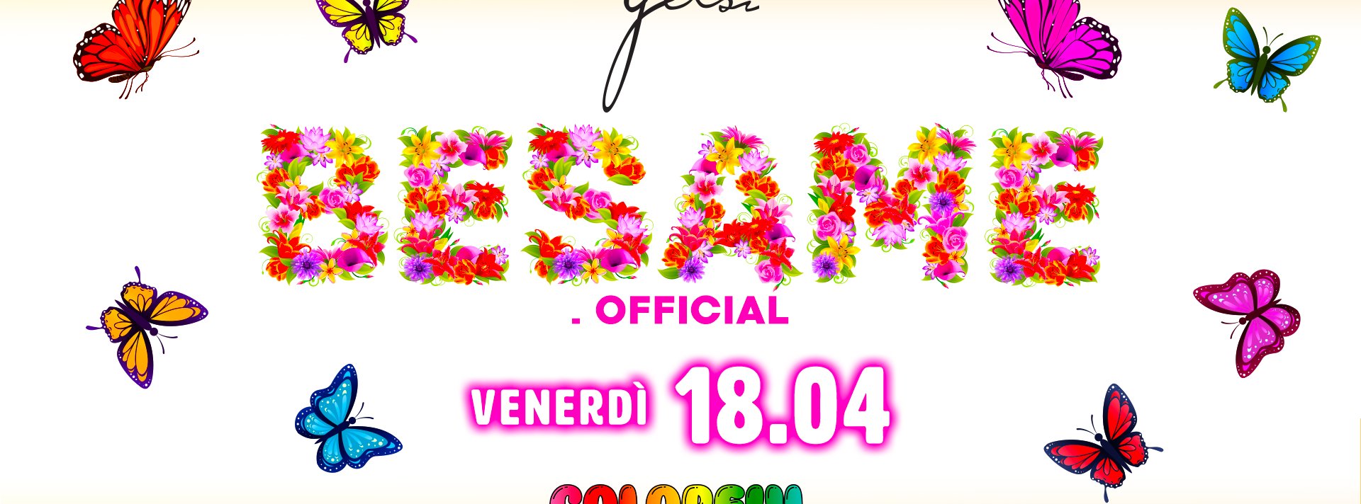 18 04 cover gelsi