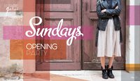 opening sundays 20 nov 2016