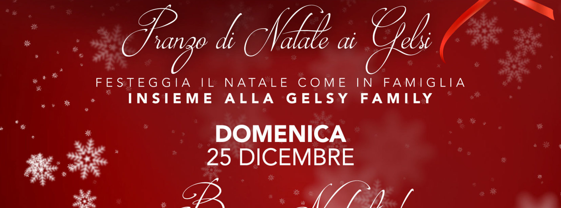 Pranzo di Natale ai Gelsi - 25 dicembre 2016